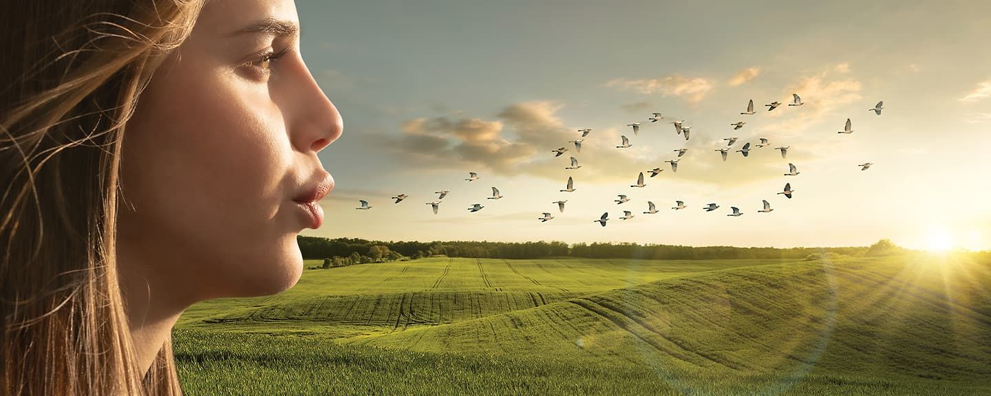 header-website header-website